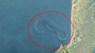 7 Mysterious Deep Sea Creatures Spotted On Google Earth [upl. by Lehcear629]