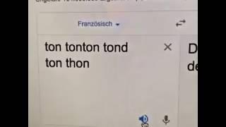 Dein Onkel mäht deinen Thunfisch  Google Übersetzer Fail 😂 [upl. by Yrgoerg]