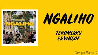 Ngaliho  Tekomlaku Ft Ervinsof Lirik Lagu [upl. by Marelda614]