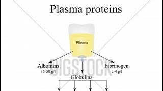 Plasma protein its type and functions [upl. by Nithsa]