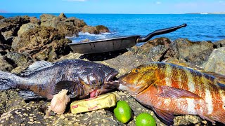 Catchn Cookn EXOTIC Fish on a FOREIGN ISLAND [upl. by Naerb]