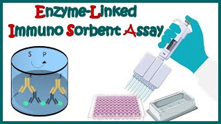 ELISA  Enzyme linked immonosorbent assay  ELISA test  Types of ELISA  Direct and Indirect ELISA [upl. by Vahe]