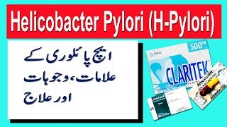 What is h pylori bacteria in stomach in urdu  What is h pylori in urdu  h pylori symptoms in urdu [upl. by Vatsug523]