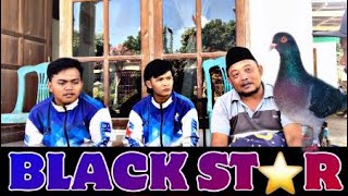 Review BLACK STAR TEAM Asembagus blackstar merpatibalap viral [upl. by Adal]