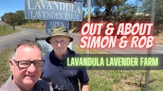 Simon and Rob visit the Lavandula Lavender Farm between Castlemaine and Daylesford in Victoria [upl. by Annayat]