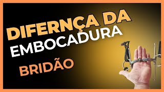 Qual diferença entre os bridão Segredo da embocadura do bridão [upl. by Mclaughlin165]