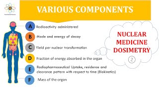 Various Components of Nuclear Medicine Dosimetry [upl. by Ocker]