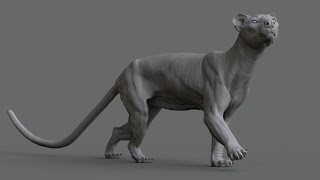 Animal Anatomy Modeling a Fossa with Aritz Basauri [upl. by Anstice952]