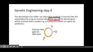 613 Manipulating genomes f Genetic Engineering [upl. by Backer]