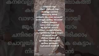 Karayan Vayya LyricsJupiter Mazha shorts shortsfeed viral song lyrics [upl. by Nodnahs]