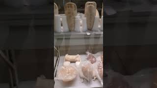 Canopic Jars Penn Museum [upl. by Squier874]