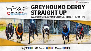 Greyhound Derby Straight Up  Semi Finals  Greyhound Tips  RPGTV [upl. by Clary]