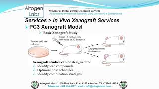 Altogen Labs PC3 Xenograft Service Prostate Cancer [upl. by Naellij]