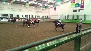 Horseball at Bishop Burton College [upl. by Belayneh]