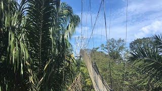 Lekki Conservation Center [upl. by Beetner517]