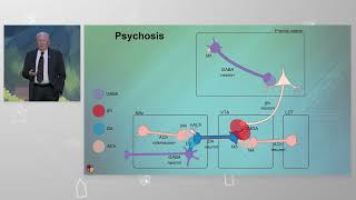 How Muscarinic Stimulation Works [upl. by Acitel]