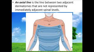 Dermatomes of Upper limb Neuroanatomy 45 [upl. by Adias]