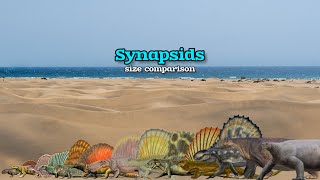 SYNAPSIDS  Size Comparison [upl. by Neleag]