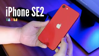 แกะกล่อง รีวิว iPhone SE2 2020 เทียบ iPhone 8 และ iPhone 11 แบบไทยไทย [upl. by Orhtej]