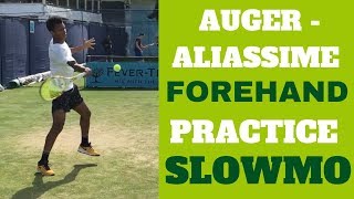 AugerAliassime Forehand [upl. by Boland]