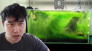 these fish tank ideas are NEXT LEVEL  Fish Tank Review 263 [upl. by Rudy518]