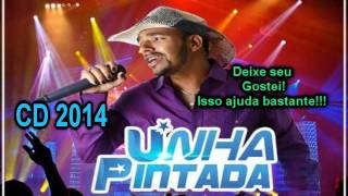 Unha Pintada Show CD 2014 Completo [upl. by Felty746]