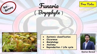 Funaria  Morphology  anatomy amp Life cycle  Bsc  Free PDF notes  by Viologia EXtrema [upl. by Annahc]