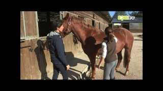 Apprendre à faire un super pansage à mon poney [upl. by Padegs]