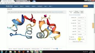 How to download a PDB file Introduction to bioinformatics series 5 PDB [upl. by Schmitt]