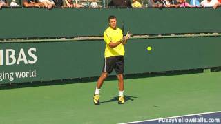 JoWilfried Tsonga Forehands in HD [upl. by Secor]