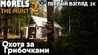 morels the hunt 2 2024 Первый взгляд Охота за Грибочками  2к 60ᶠᵖˢ rus [upl. by Aivuy]