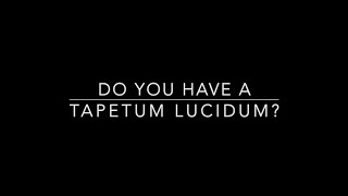 Do You Have A Tapetum lucidum [upl. by Elazaro]