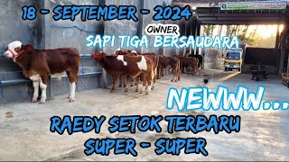 UPDATE PEDETAN SAPI SUPERSUPER [upl. by Reinke405]