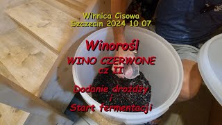 WINOROŚL  WINO CZERWONE cz II dodanie drożdży i start  Winnica Cisowa 2024 10 07 [upl. by Zurc]