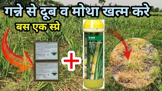 दूब व मोथा का पक्का समाधान  Vesnit completeGilardoSempra herbicide for sugarcane [upl. by Duncan376]