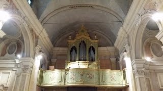 Zipoli  Elevazione in do organo Concone Chiesa di Santa Croce Villastellone [upl. by Venable261]