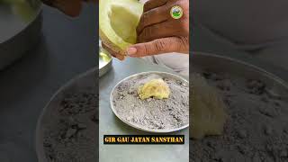 હાલો ટેટી ખાવા muskmelon teti [upl. by Nap934]