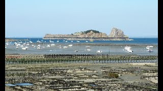 Cancale  Ostréiculture  Pointe de Grouin [upl. by Anegal388]