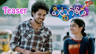 Pittagoda Telugu Movie Teaser  Viswadev Punarnavi  Pittagoda [upl. by Roderic]