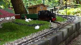 Live steam  Dampf auf allen Gleisen  fast ein Crash auf der Gartenbahn [upl. by Beckman]