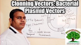 Cloning Vectors Bacterial Plasmid Vectors [upl. by Yrac]