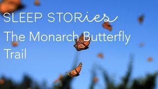 Calm Sleep Stories  The Monarch Butterfly Trail  Trailer [upl. by Euqinor]