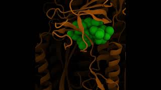 Phage DisplayBased Gene Delivery A Viable Platform for COVID19 Vaccine Design amp Development [upl. by Ennylcaj]