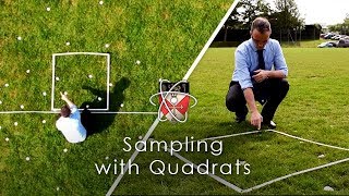 Sampling with Quadrats  GCSE Biology Required Practical [upl. by Arley506]