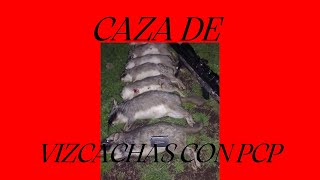 CAZA de VIZCACHAS con PCP R3 800 Y SLUG DE 27 GRS [upl. by Rehnberg]