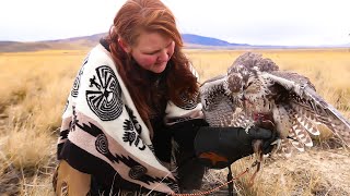 Falconry Which species is the best first bird [upl. by Gerri]