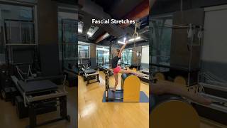 Fascial Stretches fascia stretching aging sportsperformance mobility movement [upl. by Kamp184]