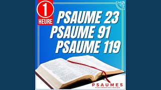 Psaume 23 Psaume 91 Psaume 119 Psaumes pour dormir avec Musique 1 Heure [upl. by Nodnol]