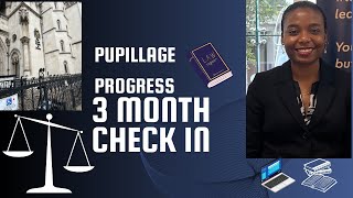 Pupillage Progress 3Month CheckIn [upl. by Gwenore]