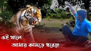 দুই ভাই মিলে যুদ্ধ করছি  আমাকে কামড়ে ধরে রেখেছে  Sundarban Tiger Incident [upl. by Neibaf907]